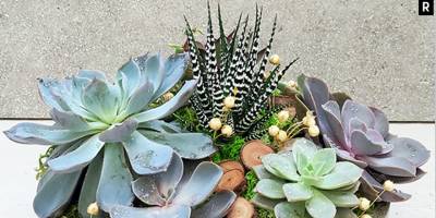 Balkon Düzenlemesi İpuçları