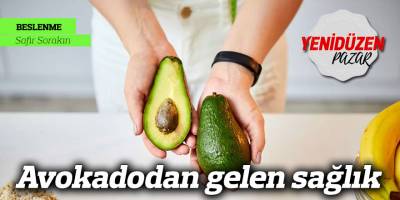 Avokadodan gelen sağlık
