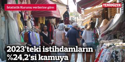 2023’teki istihdamların %24,2’si kamuya