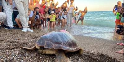 "Lara Barış" 1,5 yılda 4 bin kilometre yol gitti