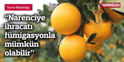 Tarım Bakanlığı: Narenciye ihracatı fümigasyonla mümkün olabilir