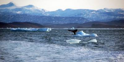Geçen ay, "en sıcak ocak" olarak kayıtlara geçti