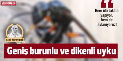 Geniş burunlu ve dikenli uyku