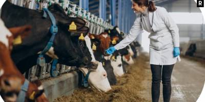 Çiftliğinizi Yönetmenin Kolay Yolu: Çiftlik Yönetimi Sistemleri