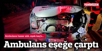 Ambulans, eşeğe çarptı