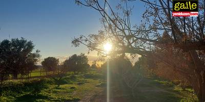 ZANGALAK’TAN DÖKÜLENLER