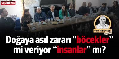 Doğaya asıl zararı “böcekler” mi veriyor “insanlar” mı?