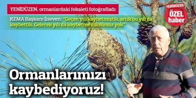 Ormanlarımızı kaybediyoruz!