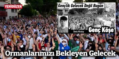 Ormanlarımızı Bekleyen Gelecek