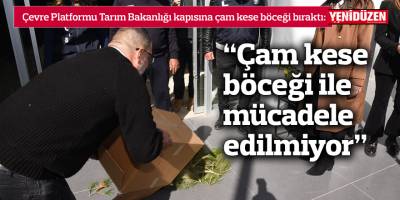 "Çam kese böceği ile mücadele edilmiyor"