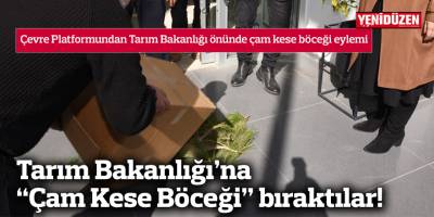 Tarım Bakanlığı’na “Çam Kese Böceği” bıraktılar!