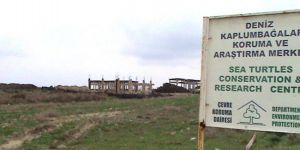 Karpazda kaçak yapılara yasal işlem