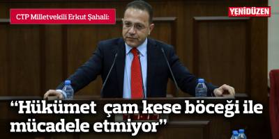 Şahali: “Hükümet çam kese böceği ile  mücadele etmiyor”