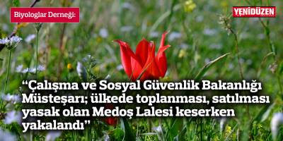 Biyologlar Derneği: “Doğa katliamı yapan müsteşar görevinden alınmalıdır”