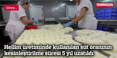 Hellim üretiminde kullanılan süt oranının kesinleştirilme süresi 5 yıl uzatıldı