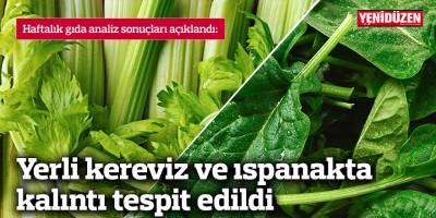 Yerli kereviz ve ıspanakta kalıntı tespit edildi