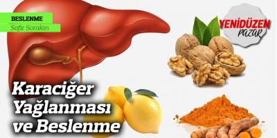 Karaciğer Yağlanması ve Beslenme