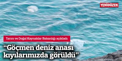 "Göçmen deniz anası kıyılarımızda görüldü"