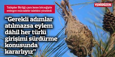 Tabipler Birliği çam kese böceğiyle entegre mücadele talebini yineledi