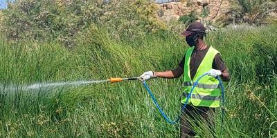 Gazimağusa Belediyesi sivrisinekle mücadeleye göletler ve su birikintilerinde devam ediyor
