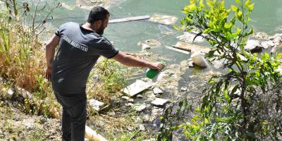 Girne Belediyesi ilaçlama çalışmalarına devam ediyor