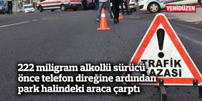 222 miligram alkollü sürücü önce telefon direğine ardından park halindeki araca çarptı