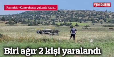 Pamuklu-Kumyalı ana yolunda kaza...