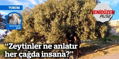 “Zeytinler ne anlatır her çağda insana?”