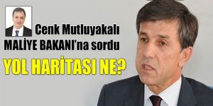 Yol Haritası ne?