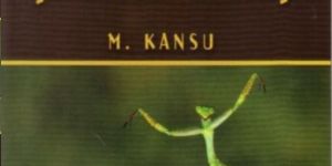 Kansudan şiir ve müzik dinletisi