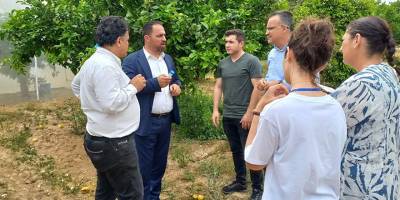 Biyolojik mücadele amacı ile parazitoit böcek salınımına başlandı