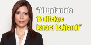 MECLİS DİLEKÇE KOMİTESİ