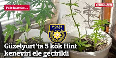 Güzelyurt’ta 5 kök Hint keneviri ele geçirildi