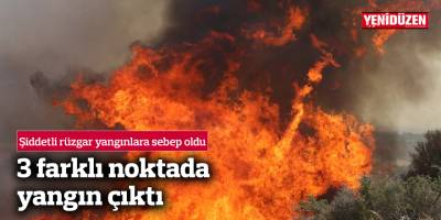 Şiddetli rüzgar yangınlara sebep oldu