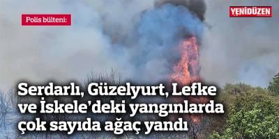 Serdarlı, Güzelyurt, Lefke ve İskele’deki yangınlarda çok sayıda ağaç yandı
