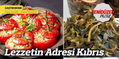 Lezzetin Adresi Kıbrıs