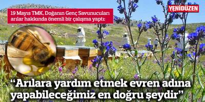 “Arılara yardım etmek evren adına yapabileceğimiz en doğru şeydir”