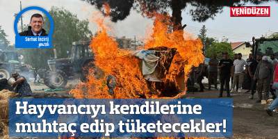 Hayvancıyı kendilerine muhtaç edip tüketecekler!