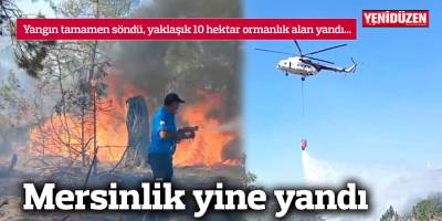 Mersinlik'teki yangın tamamen söndürüldü