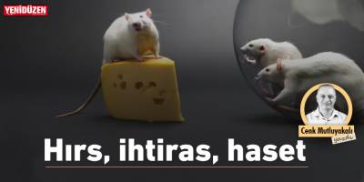 Hırs, ihtiras, haset