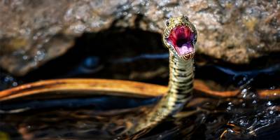 32’nci Devlet Fotoğraf Yarışması’nın sonuçları açıklandı