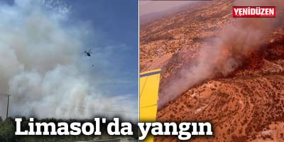Limasol'da yangın