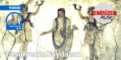 Fasulyenin Faydaları