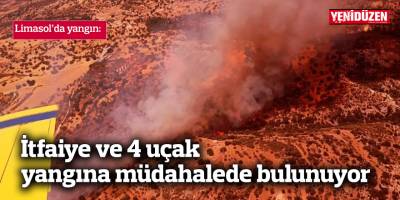 İtfaiye ve 4 uçak yangına müdahalede bulunuyor