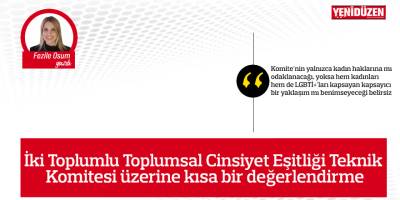İki Toplumlu Toplumsal Cinsiyet Eşitliği Teknik Komitesi üzerine kısa bir değerlendirme