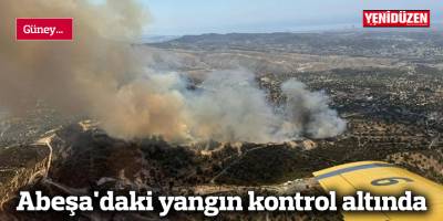 Abeşa'daki yangın kontrol altında
