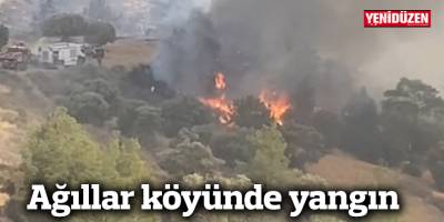Ağıllar köyünde yangın