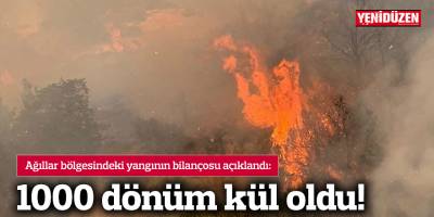 1000 dönüm kül oldu!