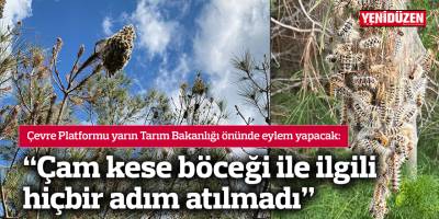 “Çam kese böceği ile ilgili hiçbir adım atılmadı”
