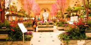 Dünyanın en büyük mağazası çiçek açtı